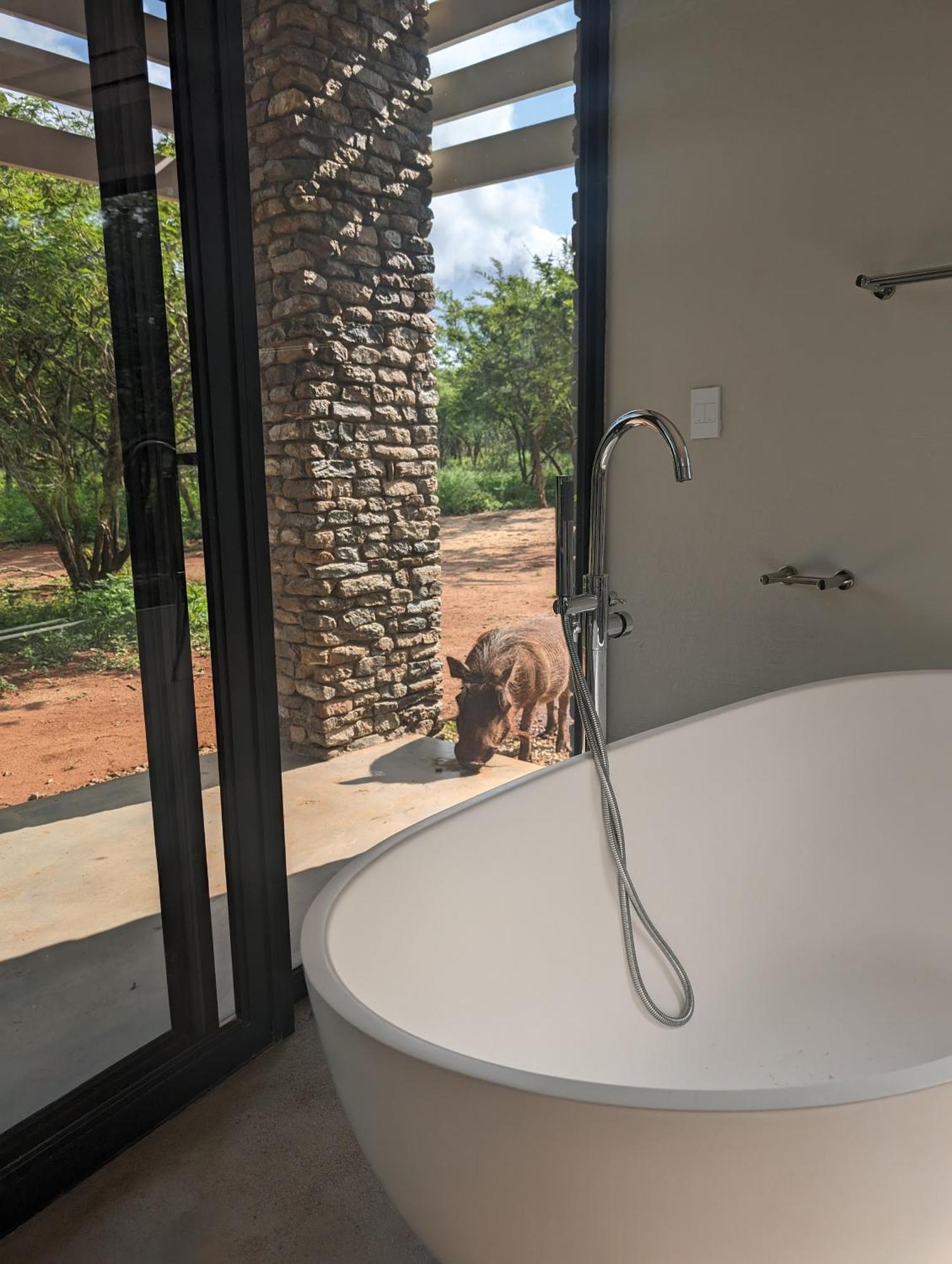 Ungava Retreat Βίλα Marloth Park Εξωτερικό φωτογραφία