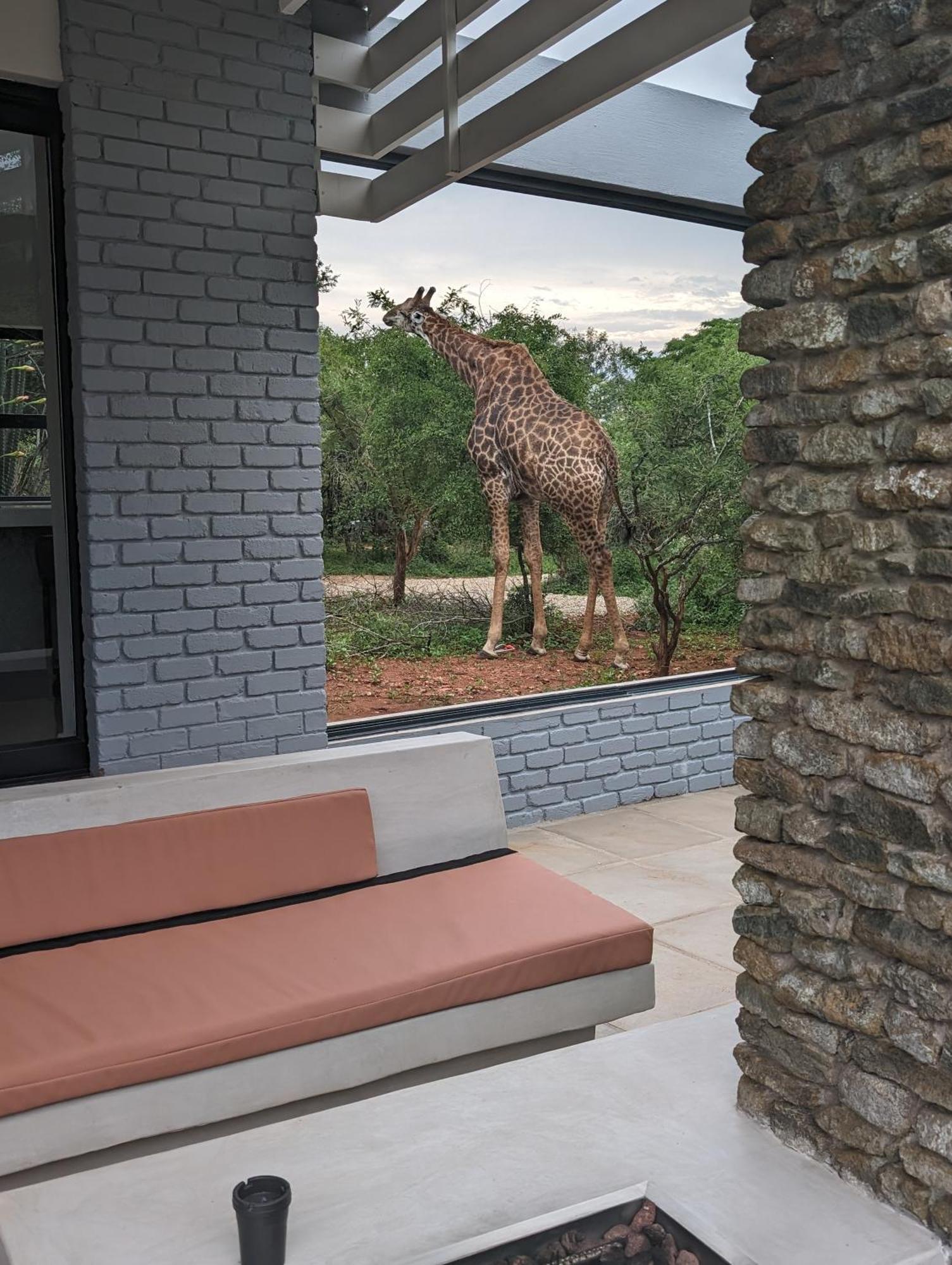 Ungava Retreat Βίλα Marloth Park Εξωτερικό φωτογραφία